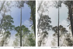 20 Moody Forest Lightroom Presets