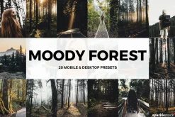 20 Moody Forest Lightroom Presets