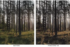 20 Moody Forest Lightroom Presets