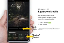 20 Moody Forest Lightroom Presets