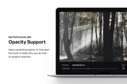 20 Moody Forest Lightroom Presets