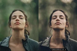 20 Moody Green LR Presets