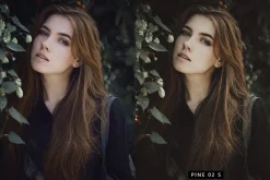 20 Moody Green LR Presets
