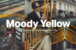 20 Moody Yellow Lightroom Presets