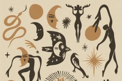 Moon Doodles Bundle