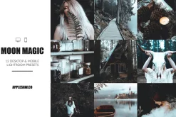 Moon Magic Lightroom Presets