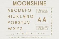 Moonshine Font | Classic Sans Serif