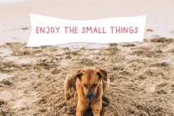 More Dreams | Handwritten Font