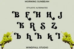 Morning Sunbeam - Retro Bold Font