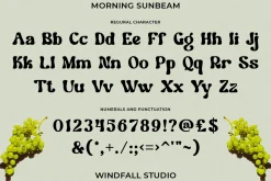 Morning Sunbeam - Retro Bold Font