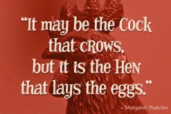 Mother Hen AOE