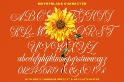 Motherlane Modern Calligraphy