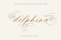 Ms Claudy | Wedding Calligraphy Font