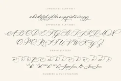Ms Claudy | Wedding Calligraphy Font
