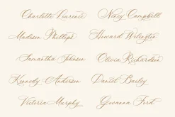 Ms Claudy | Wedding Calligraphy Font