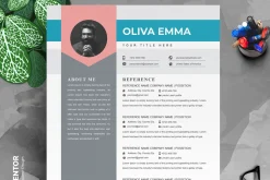 MS Word Infographic Resume / CV