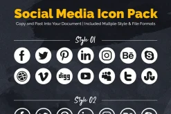 MS Word Infographic Resume / CV