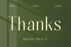 Mugia Elegant Modern Display Font