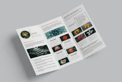 Multipurpose Tri-Fold Brochure