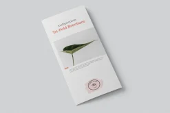 Multipurpose Tri-Fold Brochure