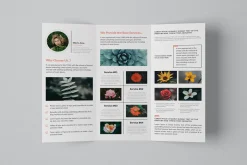 Multipurpose Tri-Fold Brochure