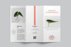 Multipurpose Tri-Fold Brochure