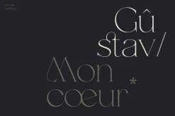 MYROGE elegant & stylish serif