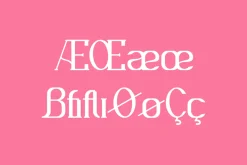 Nafegise - Elegant Serif Typeface