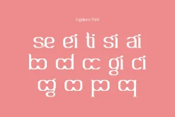 Nafegise - Elegant Serif Typeface