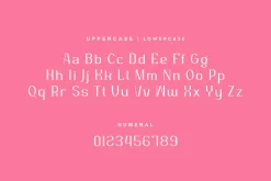 Nafegise - Elegant Serif Typeface