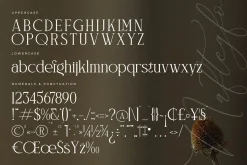 Naftegfo A New Modern Serif
