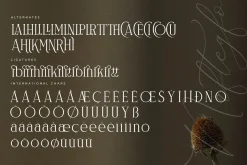 Naftegfo A New Modern Serif