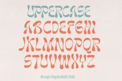Naskle - Groovy Psychedelic Font
