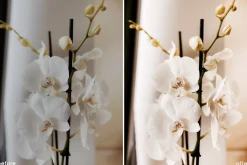 Natural Beige Lightroom Presets