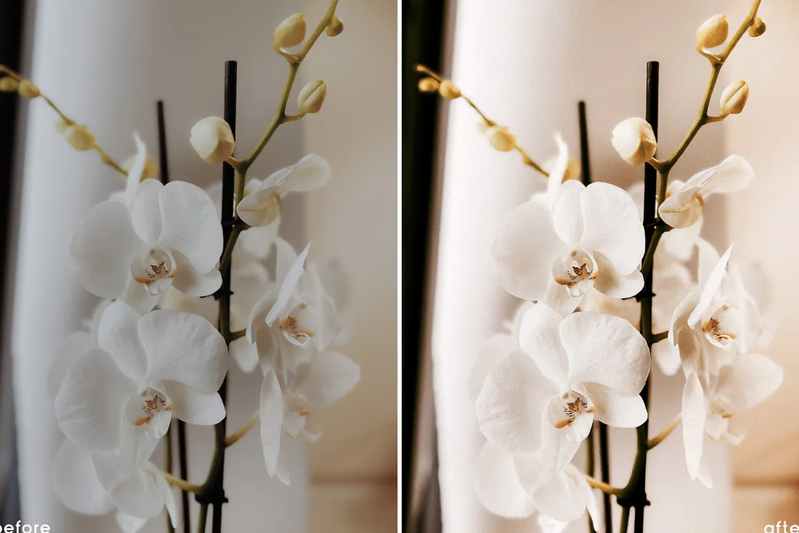 Natural Beige Lightroom Presets