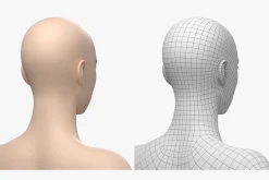 Natural Female 01 A-Pose Base Mesh