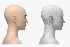 Natural Female 01 A-Pose Base Mesh