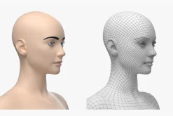 Natural Female 01 A-Pose Base Mesh