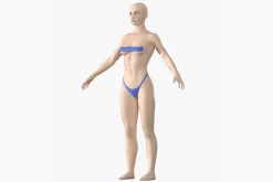 Natural Female 01 A-Pose Base Mesh