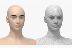 Natural Female 01 A-Pose Base Mesh