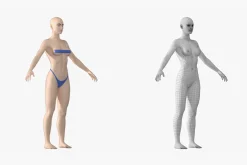 Natural Female 01 A-Pose Base Mesh