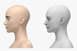 Natural Female 01 A-Pose Base Mesh