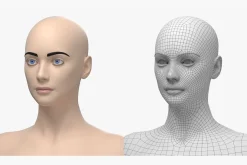 Natural Female 01 A-Pose Base Mesh