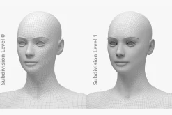 Natural Female 01 A-Pose Base Mesh