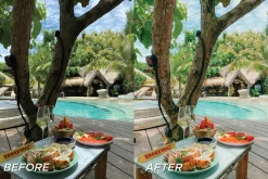 15 Natural LR Presets, Video Filters