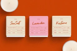 Natureal Script - Elegant Font