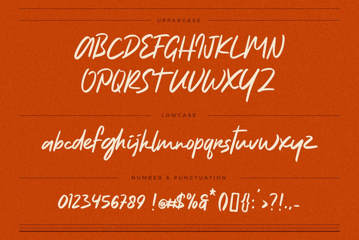 Natureal Script - Elegant Font