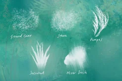 Nature Studio - Procreate Brushes