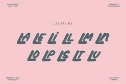 NCL AMORE BENKOVA - Playful Font