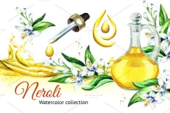 Neroli. Watercolor collection